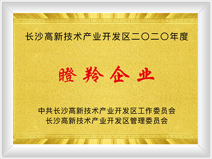 瞪羚企业