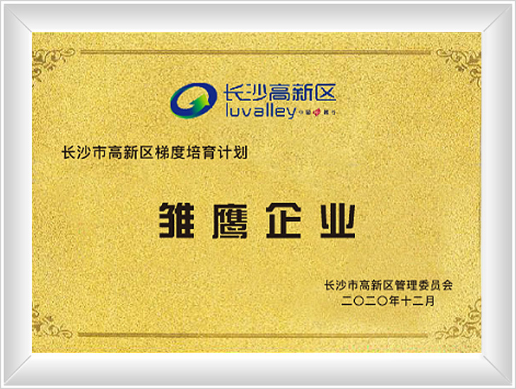 雏鹰企业
